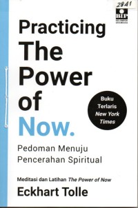 Image of Practising the power of now : Pedoman menuju pencerahan spiritual