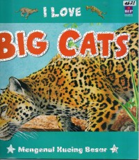 Image of I love big cats