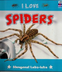 Image of I love spiders