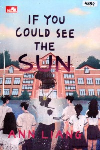 Image of If you could see the sun